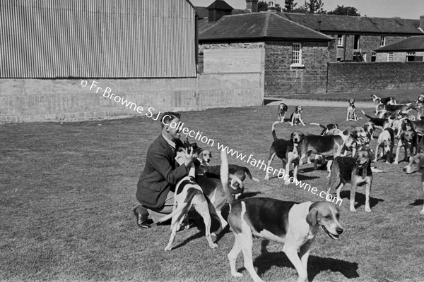 AT JIGGINSTOWN KENNELS